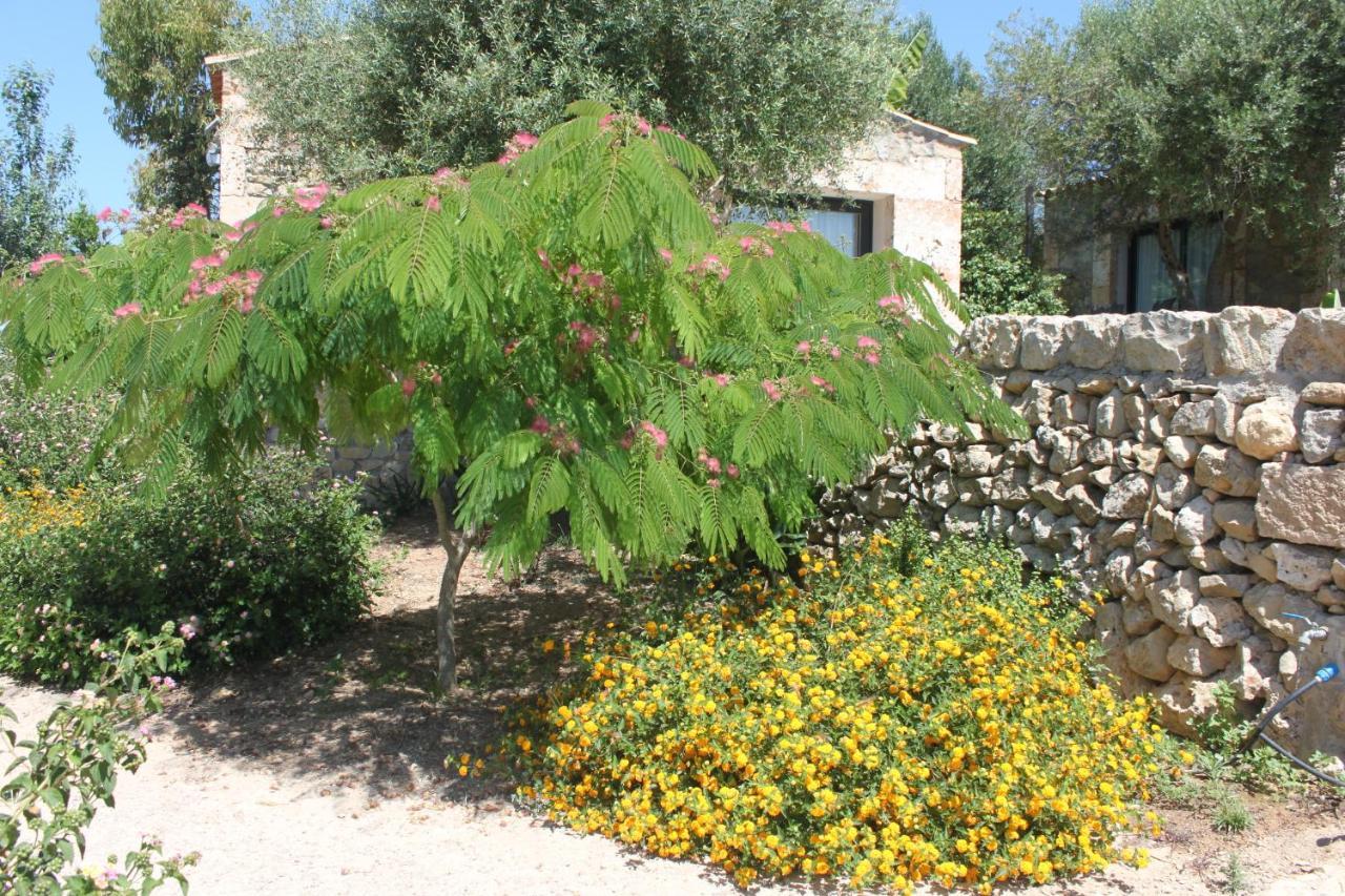 Agroturisme Es Raco De Maria Maria De La Salut Exterior photo